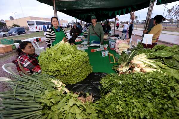 Productoras rurales de Paraguarí y Central realizarán feria en Asunción - .::Agencia IP::.