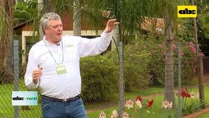 Cadena forestal debe operar en forma continua y estable - ABC Rural - ABC Color