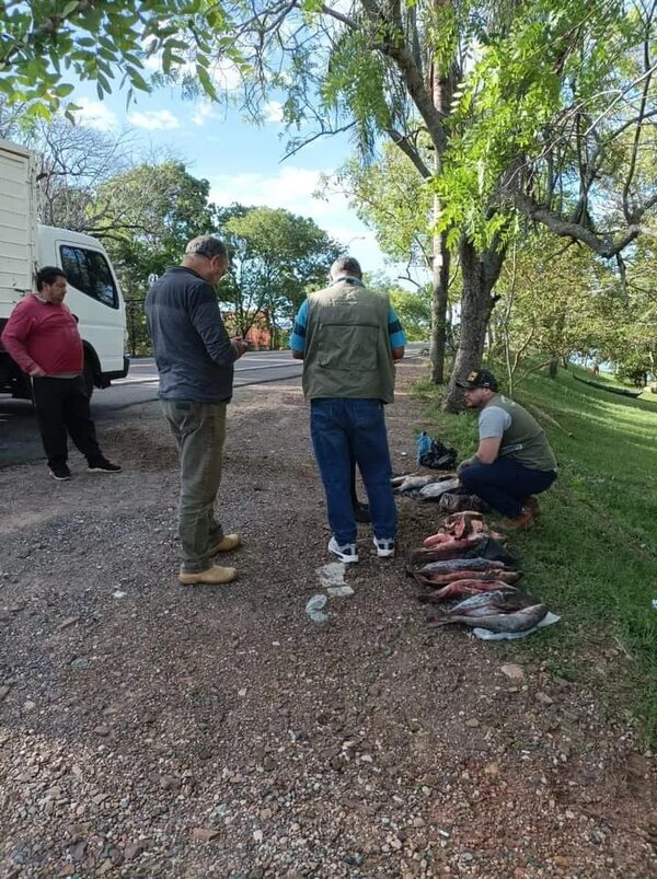 Funcionarios del mades decomisan pescados en control vehicular de Villa Florida, en plena veda - Nacionales - ABC Color
