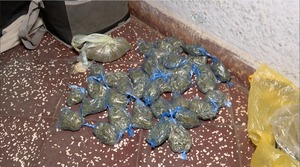 Policía detuvo a 10 personas durante controles en Luque e incautó droga - trece