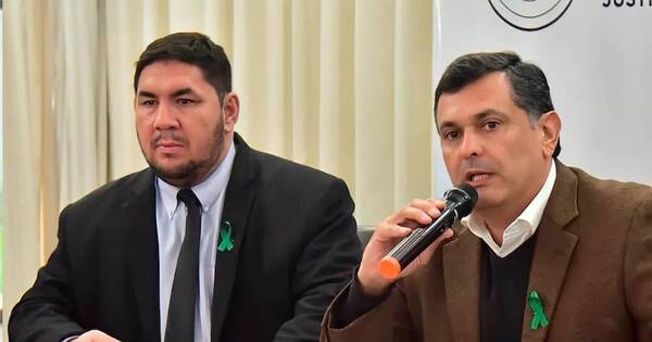 La Nación / Olmedo y Benítez cometieron el delito de frustración a la acción penal, dijo senador