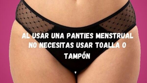 ¡Chau toallitas! llegaron las bombachas absorbentes