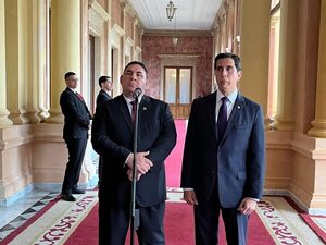Solicitan que el actual y el anterior ministro de Justicia sean convocados ante el Senado - Política - ABC Color