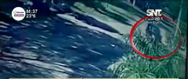 De terror: Rehenes en su propia casa - SNT