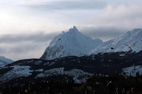 Turista brasileño muere aplastado por placa de hielo en Ushuaia - Mundo - ABC Color