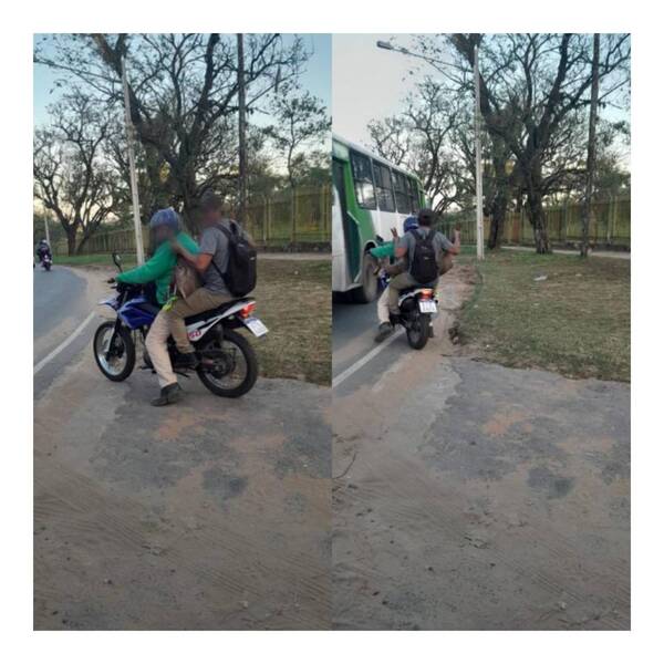 Crónica / Concejal he'i que dos tipos se llevaron moto ári a un ciervo del Zoológico