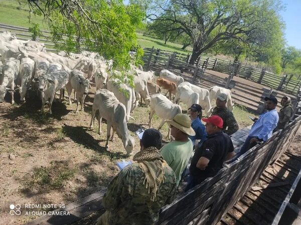 Conflicto interinstitucional tras robo de animales vacunos en Fuerte Olimpo - Noticias del Chaco - ABC Color