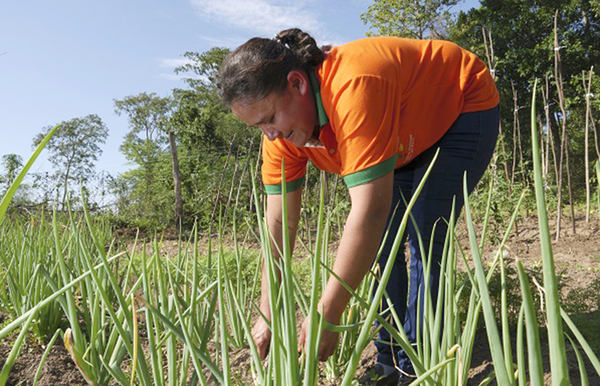 El superávit hídrico en el campo afecta más a la agricultura familiar - La Clave