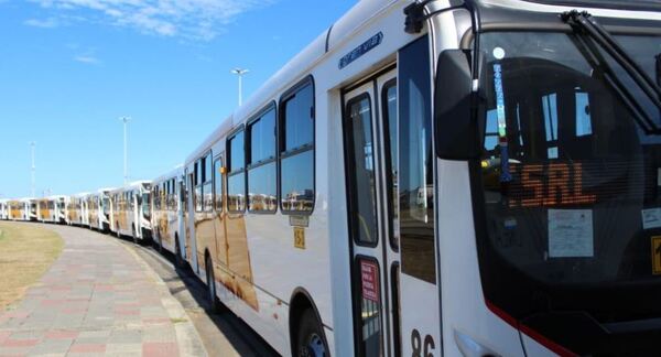 Reportan mejoría en la cantidad de buses operativos durante este año