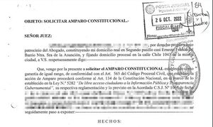 Asunción: madre solicitó amparo constitucional para acceder a rendiciones de gratuidad en escuela pública - Nacionales - ABC Color