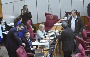 Senado ratifica emitir bonos por US$ 40 millones para “viviendas” del MUVH    - Política - ABC Color