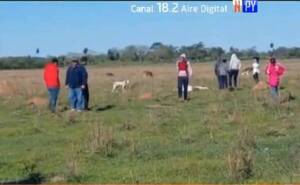 Crónica / Extrañas muertes de ganado, chancho y gallinas atemorizan a pobladores de Escobar