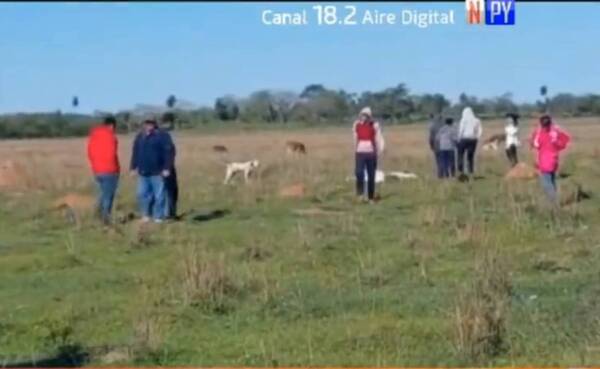 Crónica / Extrañas muertes de ganado, chancho y gallinas atemorizan a pobladores de Escobar