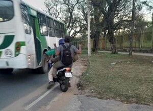 Concejal pide a Fiscalía investigar presunto traslado irregular de un guazuvirá | 1000 Noticias