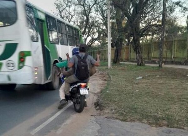 Concejal pide a Fiscalía investigar presunto traslado irregular de un guazuvirá | 1000 Noticias