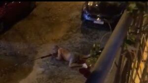 Allanaron la casa de un expreso que aterrorizaba al barrio con sus armas