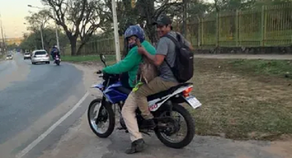 Auxiliaron a un venado del Jardín Botánico, pero las fotos viralizadas causaron revuelo - Noticiero Paraguay