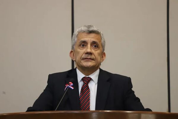 Senado señala al JEM los artículos que supuestamente violaron fiscales al proteger a Cartes y a otros - Nacionales - ABC Color