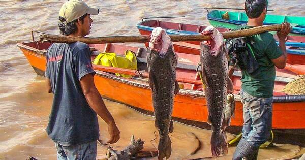 La Nación / Exministro denuncia politización de subsidio: cifra de “pescadores” aumentó, en plena época electoral