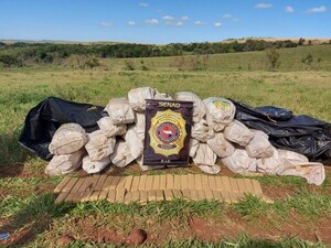 SENAD saca de circulación 1.000 kilos de marihuana en Colonia Estrella, Amambay