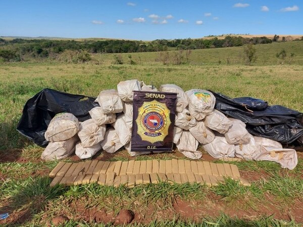SENAD saca de circulación 1.000 kilos de marihuana en Colonia Estrella, Amambay