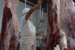 Crece el peso de Brasil como proveedor de carne vacuna de EE.UU.