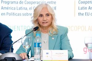 Paraguay presidirá la Comisión de Control y Abuso de Drogas de la OEA - Judiciales.net