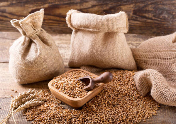 España tiene cubiertas las necesidades de compra de cereales, pese a Ucrania - Revista PLUS