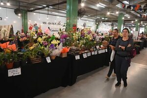 Emprendedores piden deducir el IVA en 100%  - Economía - ABC Color