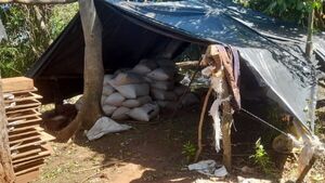 Desmantelan casi tres toneladas de droga en la Reserva San Rafael