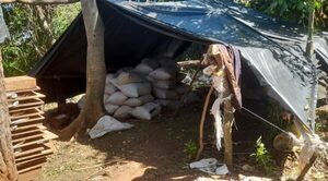 Encuentran casi cuatro toneladas de marihuana en los montes de la Reserva San Rafael