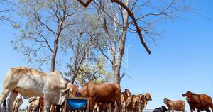 La Nación / Estiman que podría reactivarse inversiones de Brasil en el campo paraguayo con nuevo gobierno