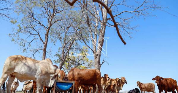 La Nación / Estiman que podría reactivarse inversiones de Brasil en el campo paraguayo con nuevo gobierno