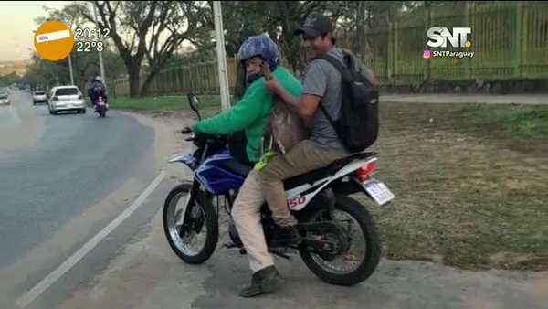 Controversia en redes: El rescate de "Bambi" - SNT