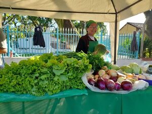 Habilitan feria agroecológica en Primero de Marzo - Nacionales - ABC Color