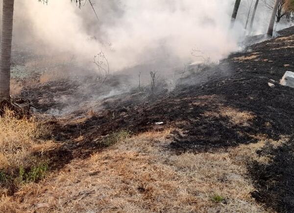 Ayolas: incendios son contralados, pero vuelven a reiniciarse | 1000 Noticias