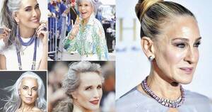 La Nación / Peinados para lucir tus canas con estilo