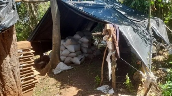 Senad anula casi tres toneladas de droga en Itapúa - Paraguaype.com