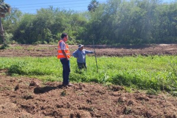 Inician campaña de Plan de Reposición Forestal, en lotes de la Transchaco