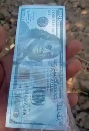 Policía desconoce el origen de los dólares hallados en el Chaco  - Noticias del Chaco - ABC Color
