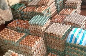 El premio de la producción de huevo: absorbidos por el contrabando