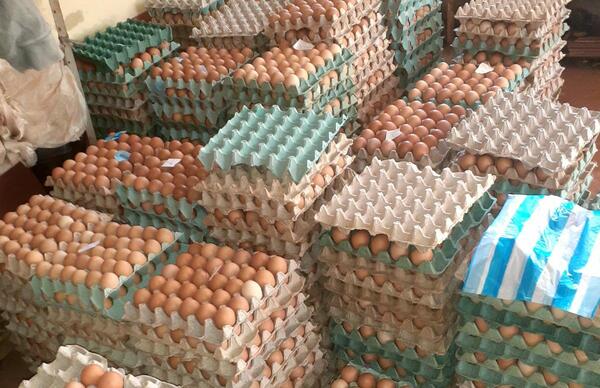 El premio de la producción de huevo: absorbidos por el contrabando