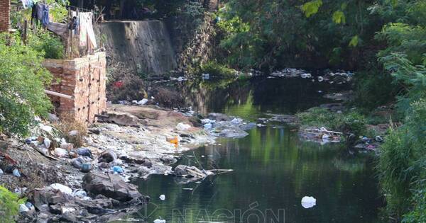 La Nación / Cinco razones por las cuales nuestros arroyos están contaminados