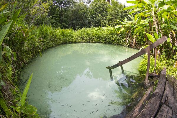 Jalapão: un destino excepcional para turismo de aventura