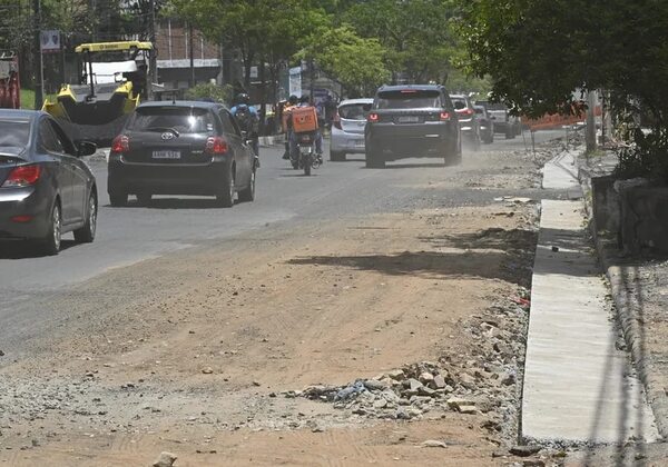 Municipalidad de Asunción continuará esta semana con trabajos viales sobre la avenida Eusebio Ayala - Nacionales - ABC Color