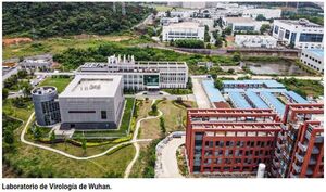 Un informe del Senado de los Estados Unidos concluyó que el COVID-19 escapó de un laboratorio en