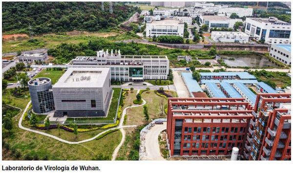 Un informe del Senado de los Estados Unidos concluyó que el COVID-19 escapó de un laboratorio en