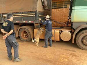 Se desarticula esquema de tráfico internacional de drogas en la frontera Guaíra con Foz de Yguazú.