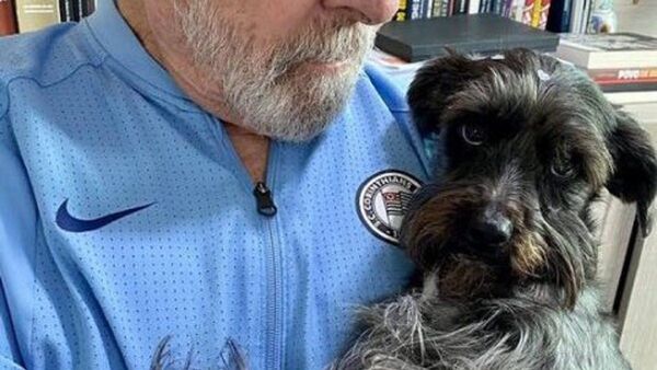 La perrita callejera que ahora vivirá en el Palacio de Gobierno de Brasil