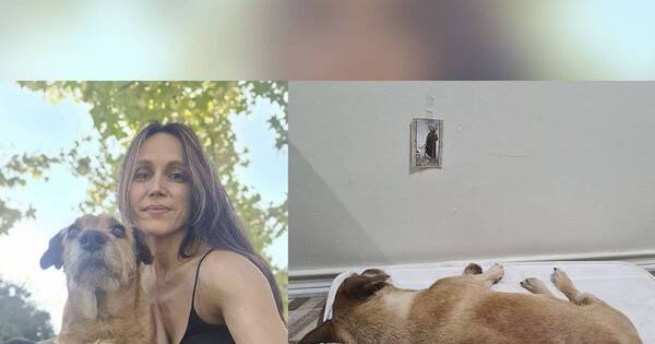 La Nación / ¡Otro susto de Pabla! Creyó que Chiru ya se iba al cielo perruno, pero solo le dolía la panza